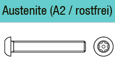 Flachkopf mit Zapfendiebstahlhemmend