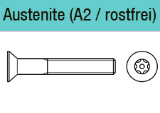 Senkkopf mit Zapfendiebstahlhemmend