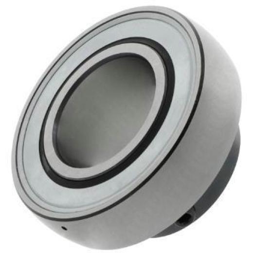 Spannlager GAY60 -NPP-B ID 60mm AD 110mm Breite47mm INA