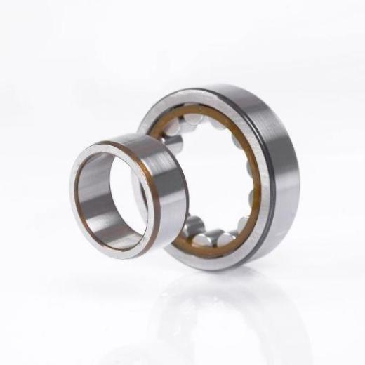 Zylinderrollenlager NU1019 ML ID 95mm AD 145mm Breite24mm SKF