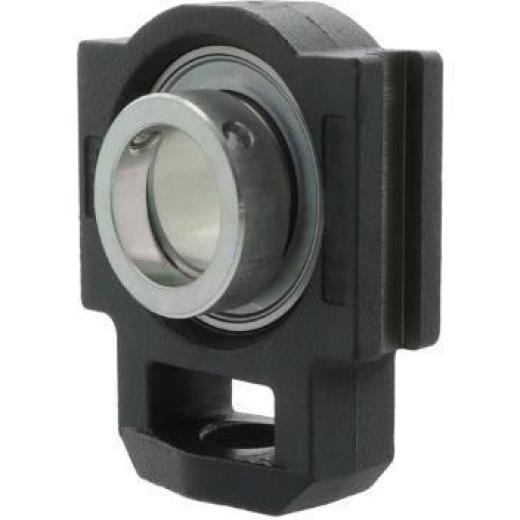 Spann-Gehäuseeinheit PTUE40 -TV-FA125.5 40mm INA