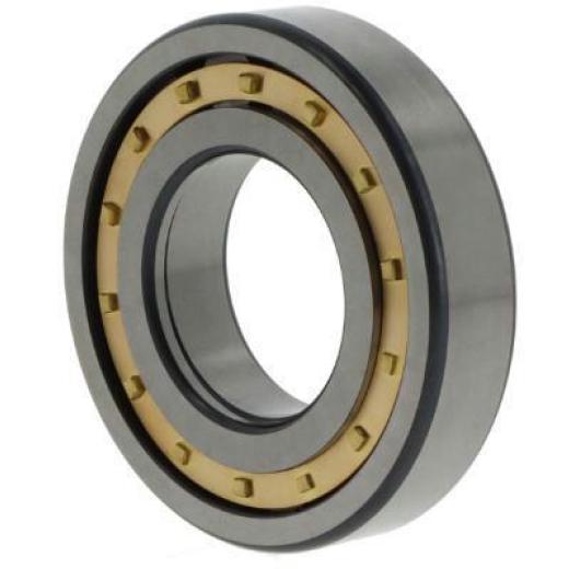 Zylinderrollenlager NUP305 -E-M1 ID 25mm AD 62mm Breite17mm FAG