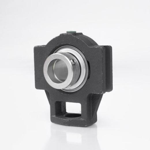 Spann-Gehäuseeinheit PTUEY30 30mm INA