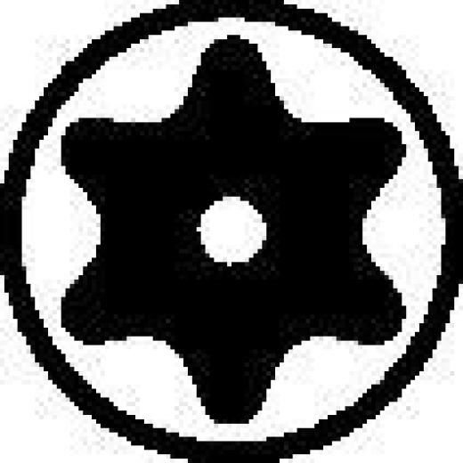 Bit 1/4 Zoll T 40 | Länge 50 mm | mit Bohrung TECWERK | 10 Stück