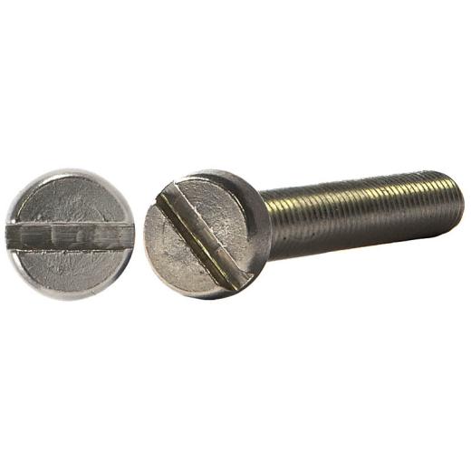 Zylinderschrauben DIN 84 (ISO 1207) | Austenite (A4) |  M 5 x 60 mm | 100 Stück