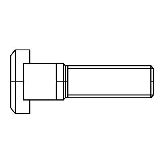 T-Nutenschrauben DIN 787 8.8 16 | M 16 x 160 mm | 10 Stück