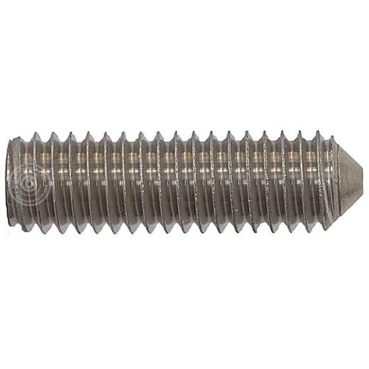 Gewindestifte mit Spitze DIN 914 (ISO 4027) | Austenite (A4) | M 12 x 12 mm  | 50 Stück