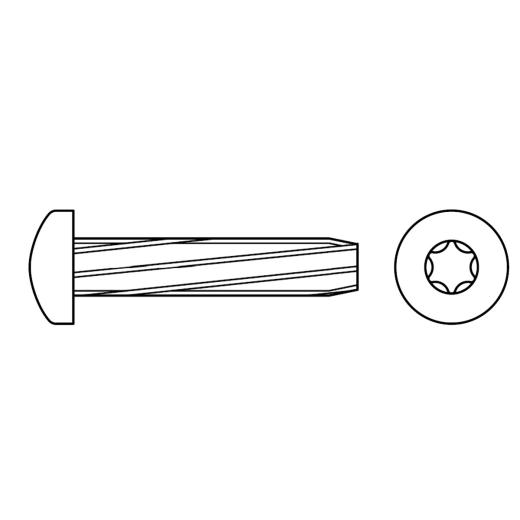 Gewinde-Schneidschrauben mit Linsenkopf | ~DIN 7516, ISR | AE M 6 x 12 -T30 | 1000 Stück