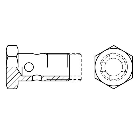 Hohlschrauben für Ringstutzen | DIN 7643 | M 22 x 1,5 | 10 Stück