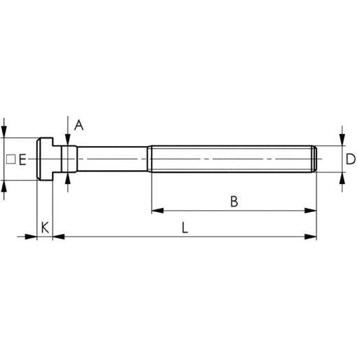 T-Nutenschraube DIN 787 T-Nut 22mm M20 L.200mm Güte 8.8 AMF