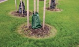 Baumbewässerungssack 55l TECTOR