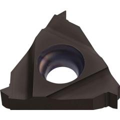 Wendeschneidplatte 16ER250 ISO PK30 re.Außen TECWERK | 2 Stück