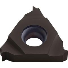 Wendeschneidplatte 16IR300 ISO PK30 re.Innen TECWERK | 2 Stück