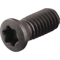 Spannschraube WS0620-S4 TECWERK