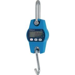 Hängewaage Heavy-Duty 30kg PESOLA