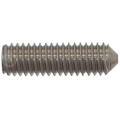 Gewindestifte mit Spitze DIN 914 (ISO 4027) | Austenite (A4) | M 10 x 20 mm  | 100 Stück