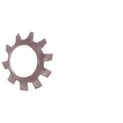 Zahnscheiben, außengezahnt DIN 6797 | Austenitischer Federstahl (z.B. 1.4310) | A 4.3 | 100 Stück