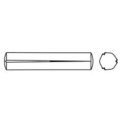 ISO 8744 Kegelkerbstifte | 6 x 55 | 100 Stück