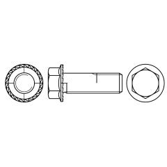Flanschschrauben | Stahl | M 12 x 35 mm | 100 Stück