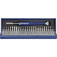 Feinmechanikerbitset 29tlg.m.Wechselbits in Ku.-Kassette TECWERK