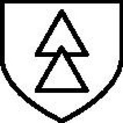 Elektrikerschutzhandschuh ActivArmr® RIG0011Y Gr.9 gelb