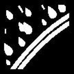 Waldarbeiter-Softshelljacke SANDDORN Gr.M grün/orange ELYSEE