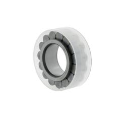 Zylinderrollenlager RSL183005 ID 25mm AD 42,51mm Breite16mm INA