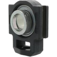 Spann-Gehäuseeinheit PTUE40 -TV-FA125.5 40mm INA