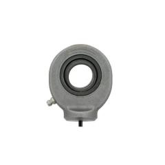 Gelenkköpfe GK20 -DO 20mm AD 53mm B.16mm INA