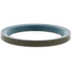Wellendichtringe GR5-9-2 4,45mm AD 9,07mm B.2mm INA