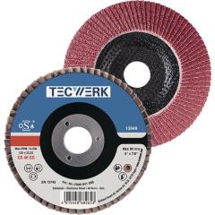 Fächerscheibe D.125mm K.60 kon.INOX CO TECWERK | 10 Stück