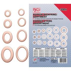 Dichtringsortiment 300-tlg.BGS