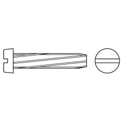 Zylinder-Schneidschrauben mit Schlitz | DIN 7513 | BM 3 x 12 | 1000 Stück