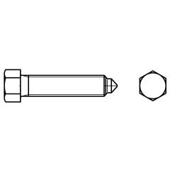 DIN 564 22H / 8.8 Form B | M 6 x 20 mm | 100 Stück