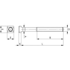 T-Nutenschraube DIN 787 T-Nut 20mm M20 L.200mm Güte 8.8 m.Mutter u.Scheibe AMF